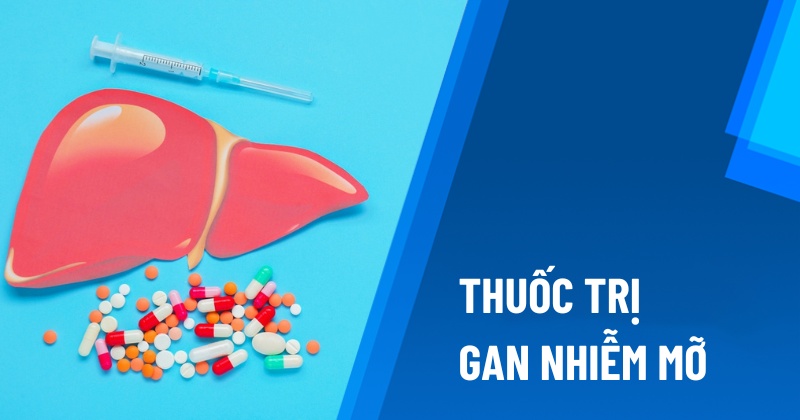 Thuốc trị gan nhiễm mỡ Dược sĩ Đạt 