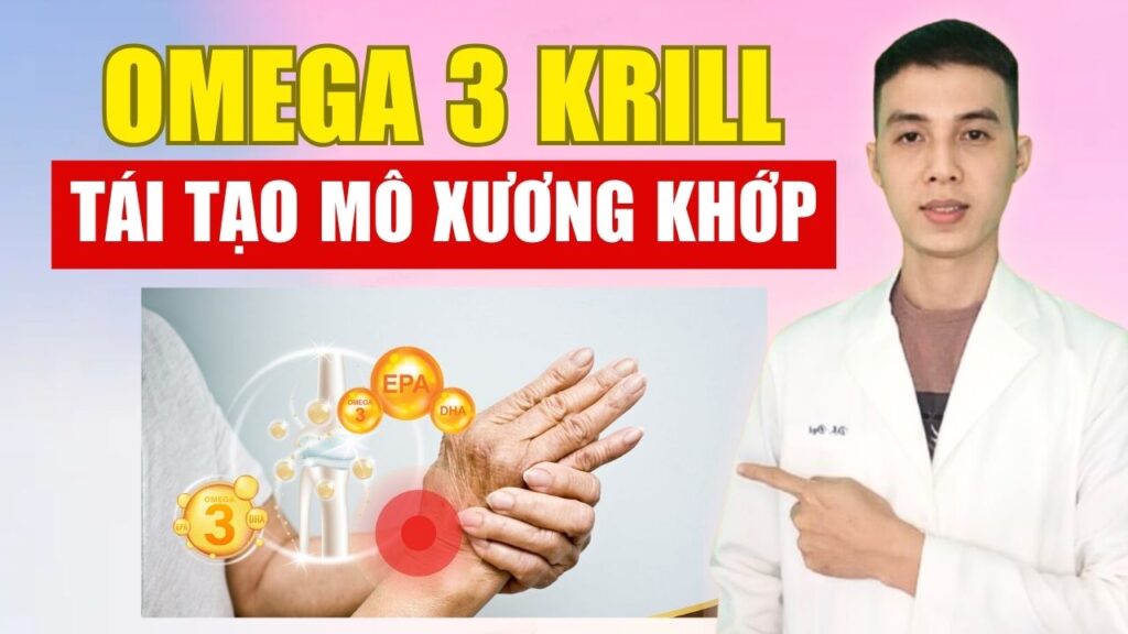 omega 3 krill giúp giảm viêm nhiễm tái tạo mô xương khớp Dược sĩ Đạt