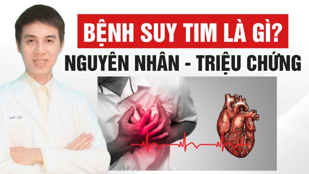 Bệnh suy tim là gì? Dược sĩ Đạt