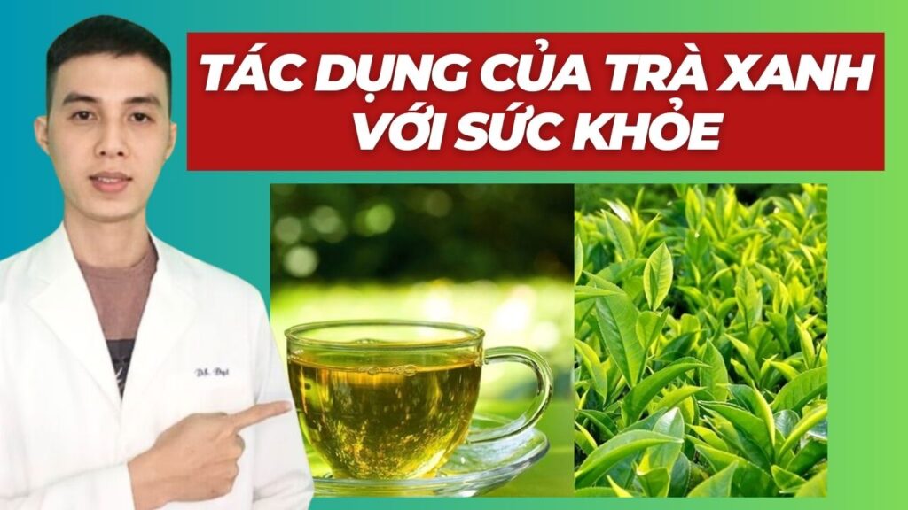 tác dụng tuyệt vời của trà xanh dược sĩ đạt