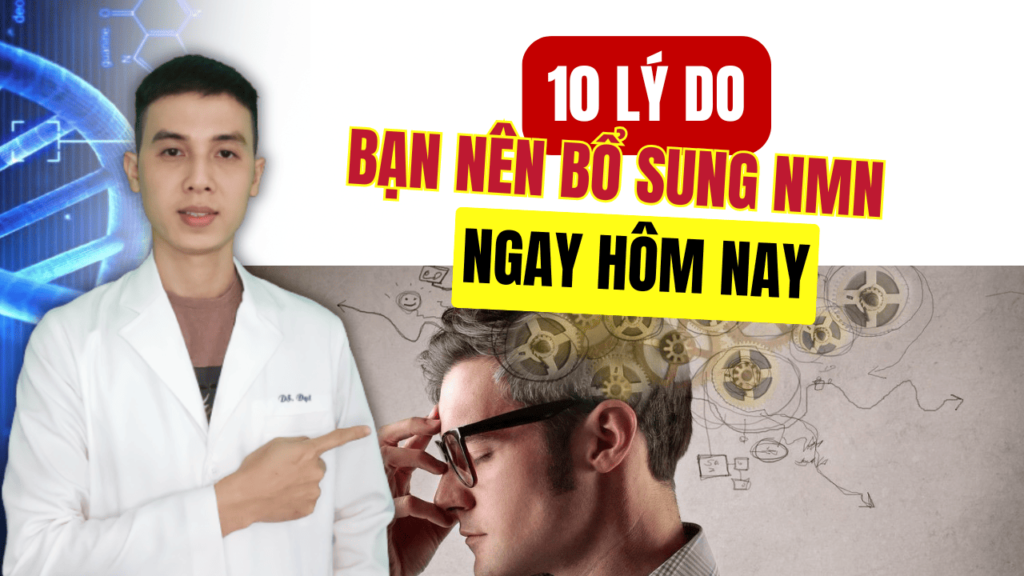 Tại sao nên sử dụng NMN? 10 lý do nên bổ sung NMN ngay hôm nay - Dược sĩ Đạt